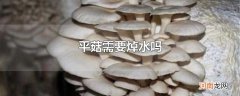 平菇需要焯水吗