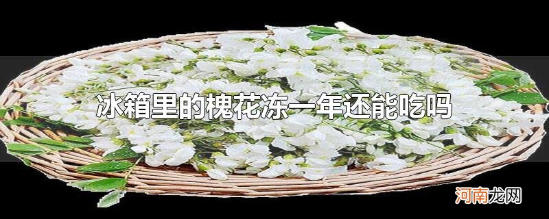 冰箱里的槐花冻一年还能吃吗