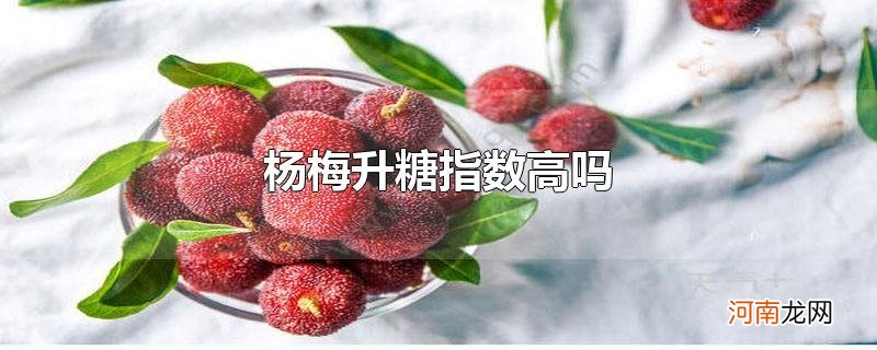 杨梅升糖指数高吗