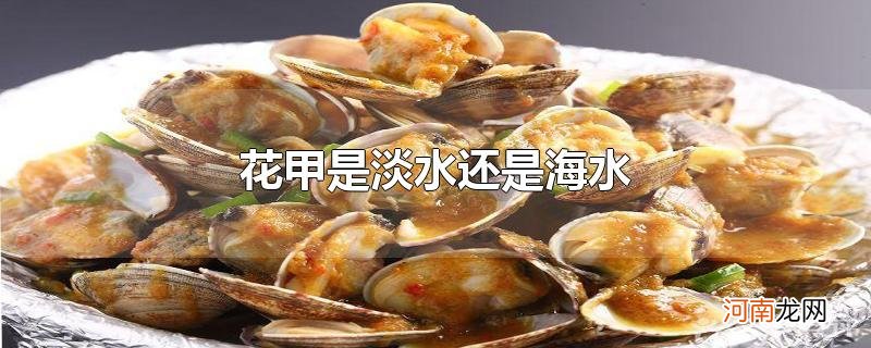 花甲是淡水还是海水