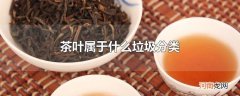 茶叶属于什么垃圾分类