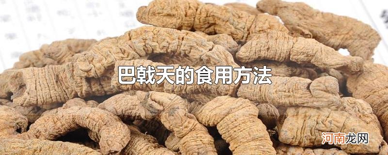 巴戟天的食用方法