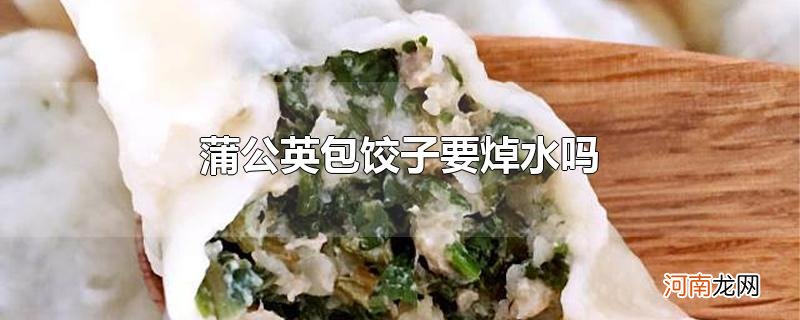 蒲公英包饺子要焯水吗