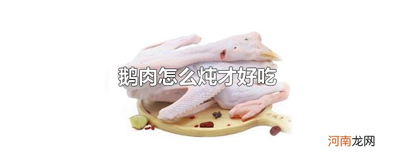 鹅肉怎么炖才好吃