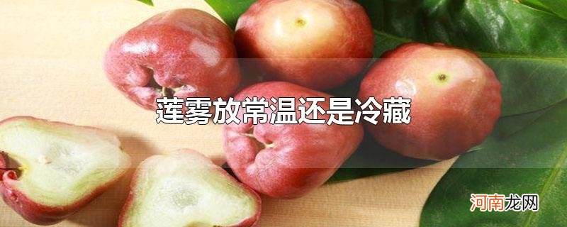 莲雾放常温还是冷藏