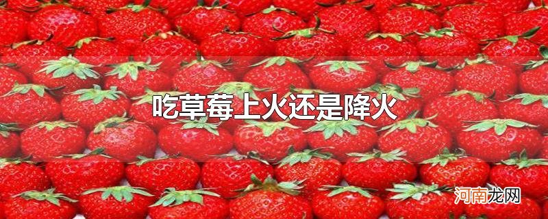 吃草莓上火还是降火