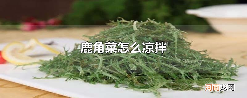 鹿角菜怎么凉拌