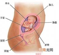 避免怀孕的多种方法 不想戴套怎样才能不怀孕