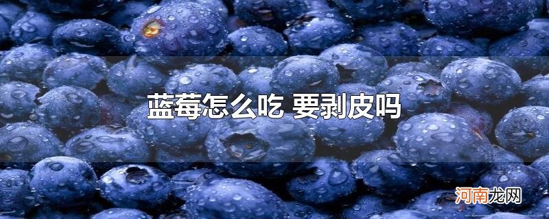 蓝莓怎么吃 要剥皮吗