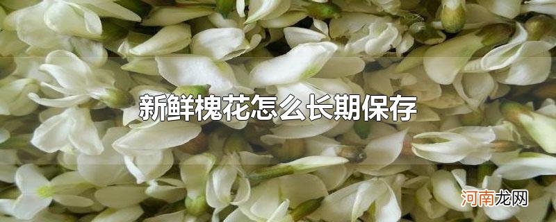 新鲜槐花怎么长期保存