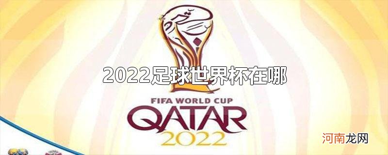 2022足球世界杯在哪