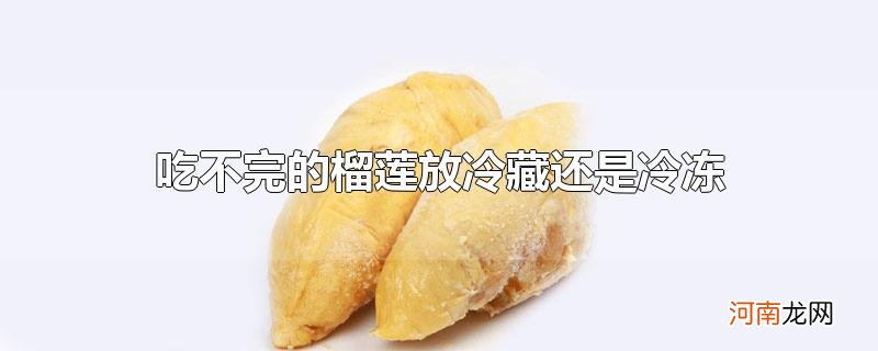 吃不完的榴莲放冷藏还是冷冻