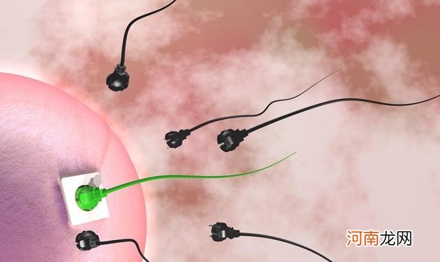 5个办法提高生精能力 如何提高精子的质量