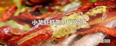 小龙虾虾黄可以吃吗