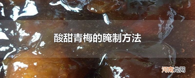 酸甜青梅的腌制方法