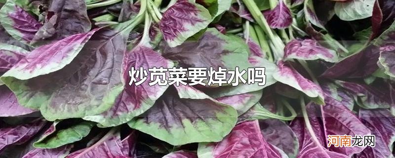 炒苋菜要焯水吗