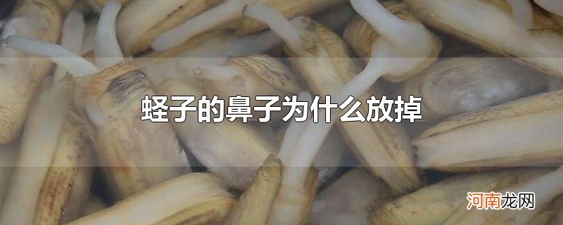 蛏子的鼻子为什么放掉