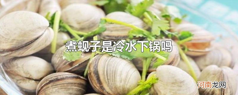 煮蚬子是冷水下锅吗