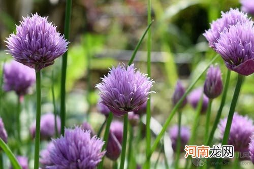 夏季宝宝喝饮料注意避免误区