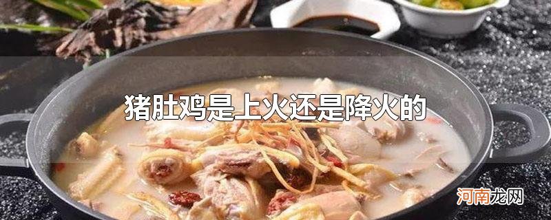 猪肚鸡是上火还是降火的