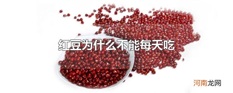 红豆为什么不能每天吃