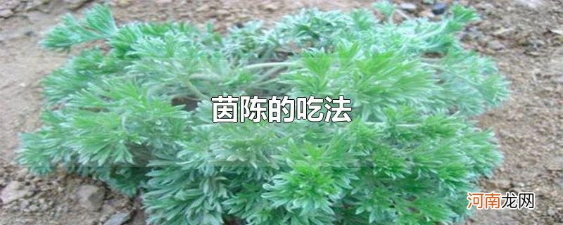 茵陈的吃法