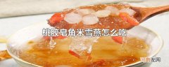 桃胶皂角米雪燕怎么吃
