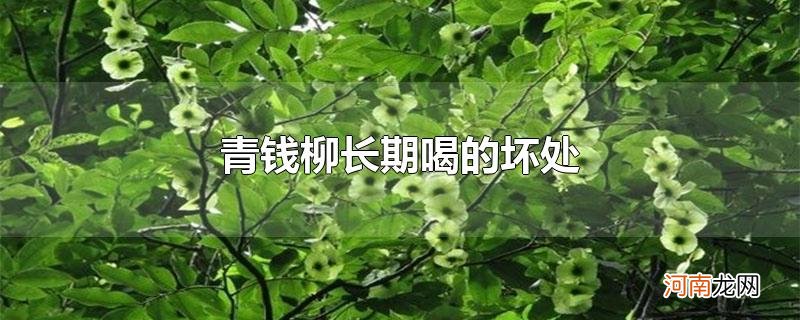 青钱柳长期喝的坏处