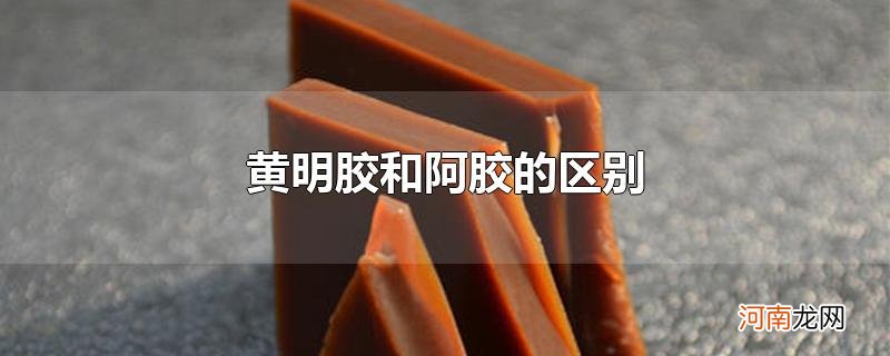 黄明胶和阿胶的区别