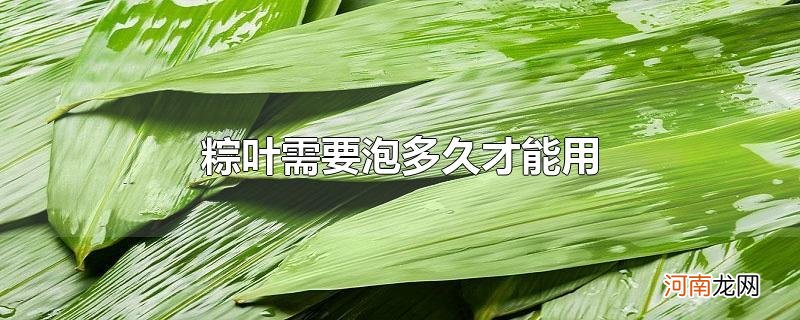 粽叶需要泡多久才能用