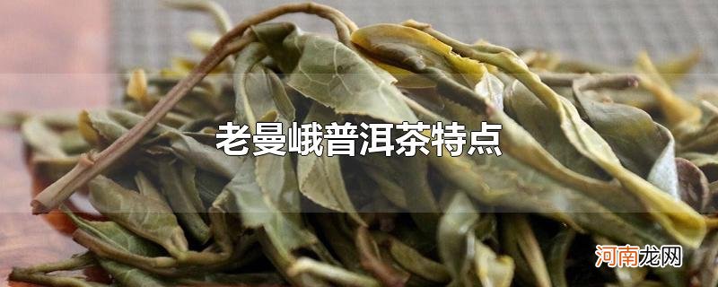 老曼峨普洱茶特点