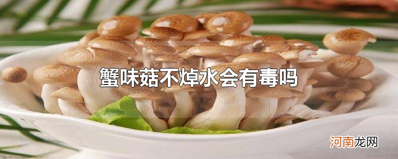 蟹味菇不焯水会有毒吗