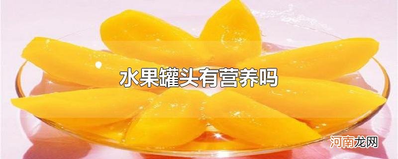 水果罐头有营养吗