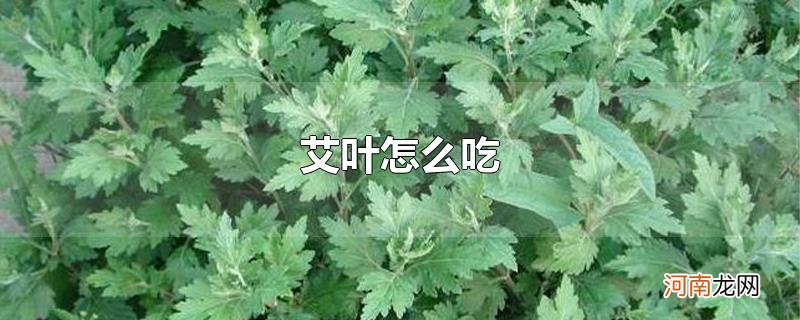 艾叶怎么吃