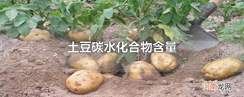 土豆碳水化合物含量