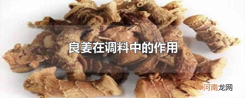 良姜在调料中的作用