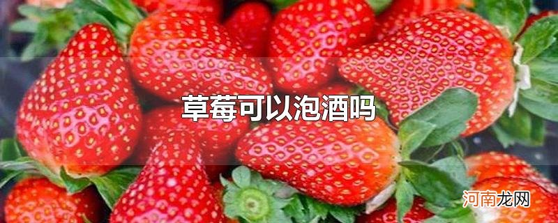 草莓可以泡酒吗