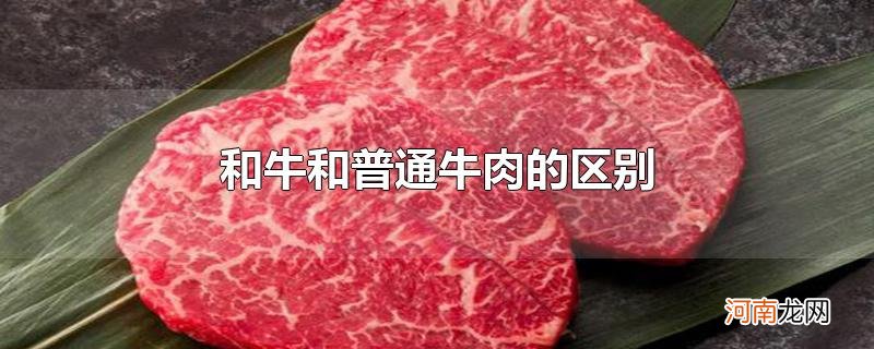 和牛和普通牛肉的区别