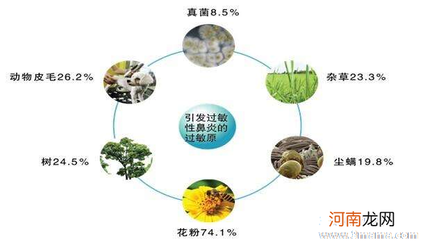 10种你想不到的过敏原