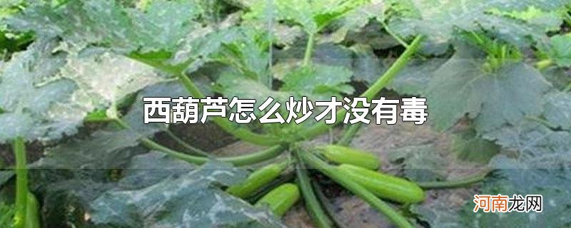 西葫芦怎么炒才没有毒