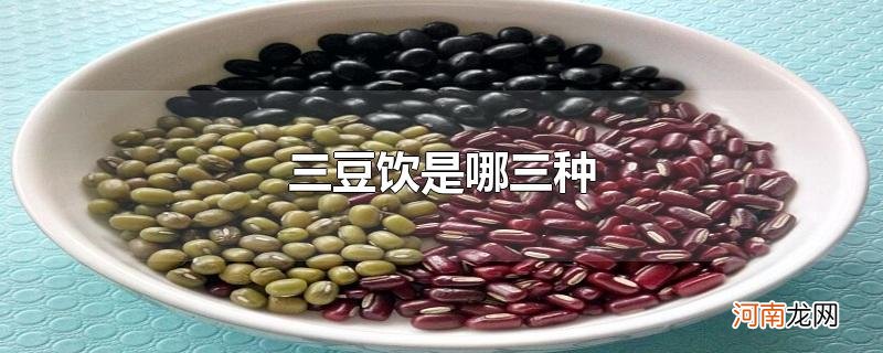 三豆饮是哪三种