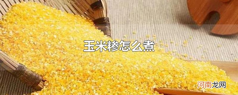 玉米糁怎么煮