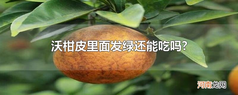 沃柑皮里面发绿还能吃吗?