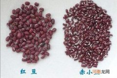 红豆和赤小豆的用法 赤小豆和红豆的区别