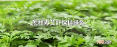 怎样煮艾叶保持绿色