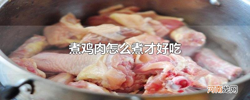 煮鸡肉怎么煮才好吃