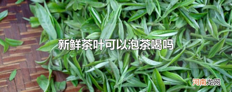 新鲜茶叶可以泡茶喝吗