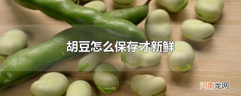 胡豆怎么保存才新鲜