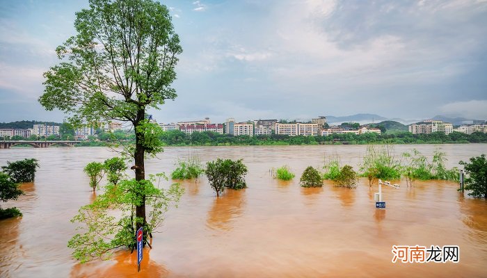 女人梦见大暴雨是什么意思