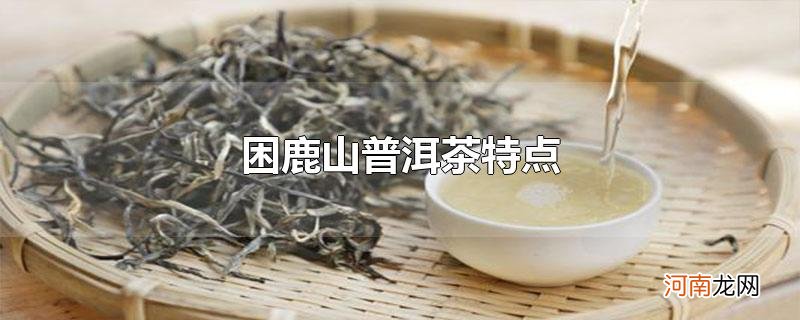 困鹿山普洱茶特点